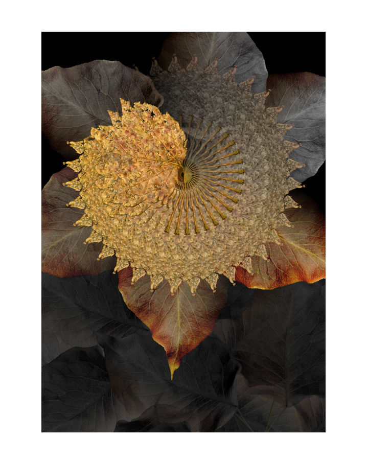 prints_0024
