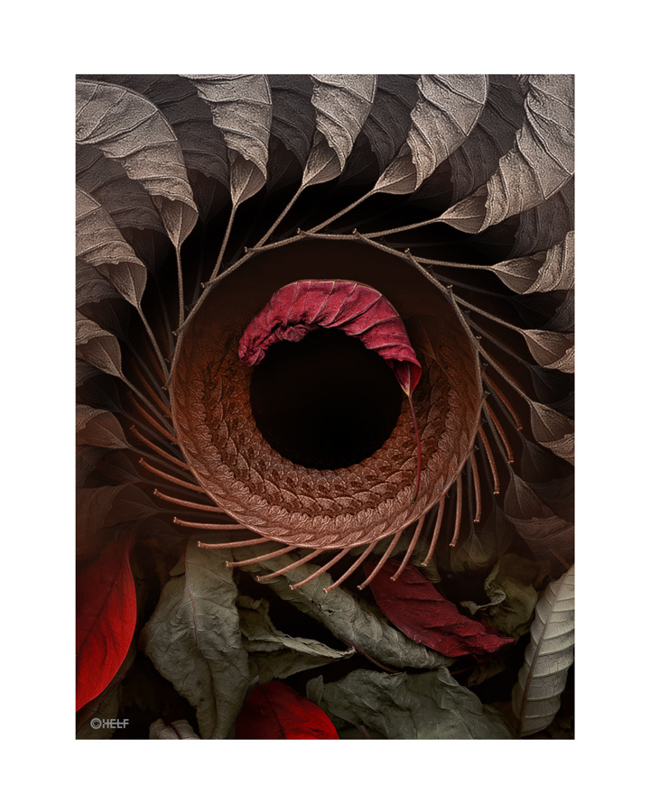prints_0009