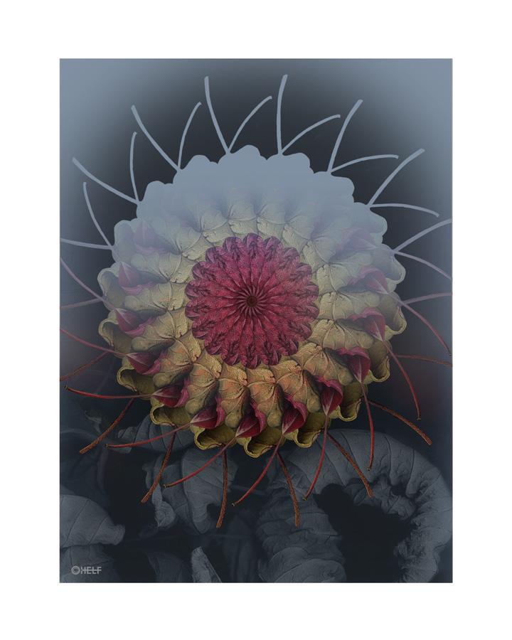 prints_0013