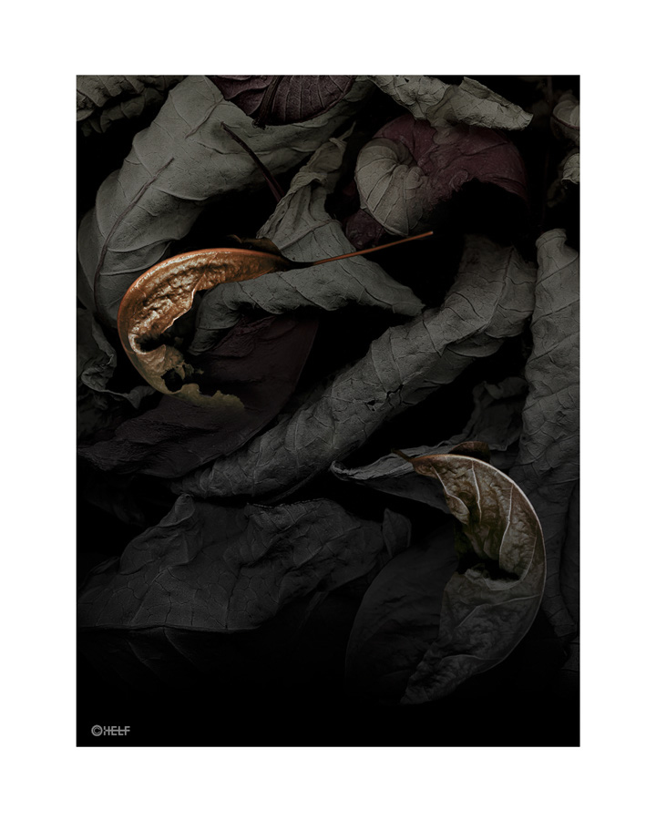 prints_0018