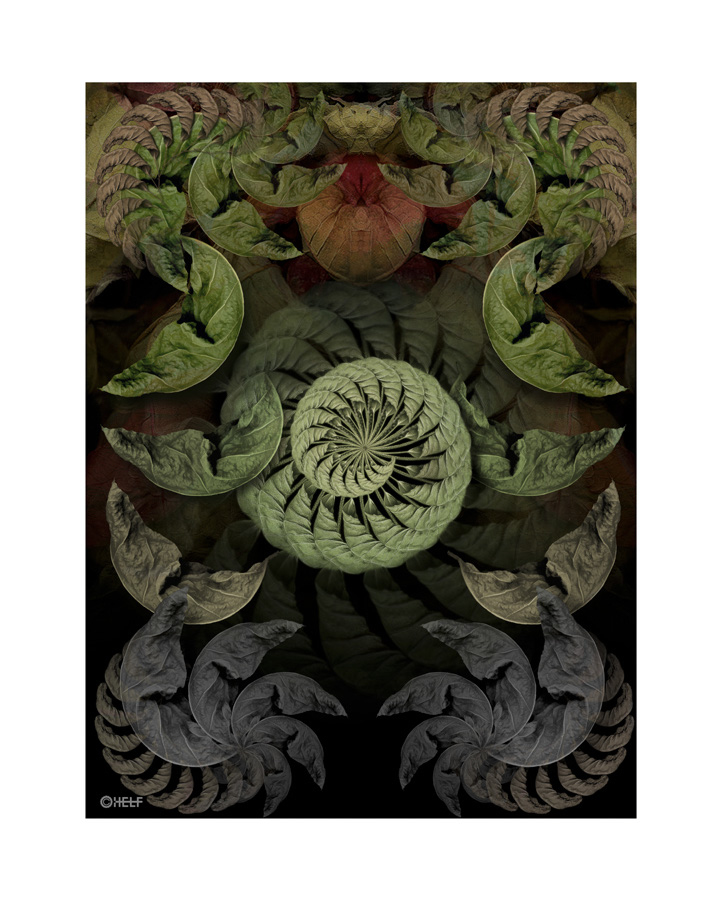 prints_0007