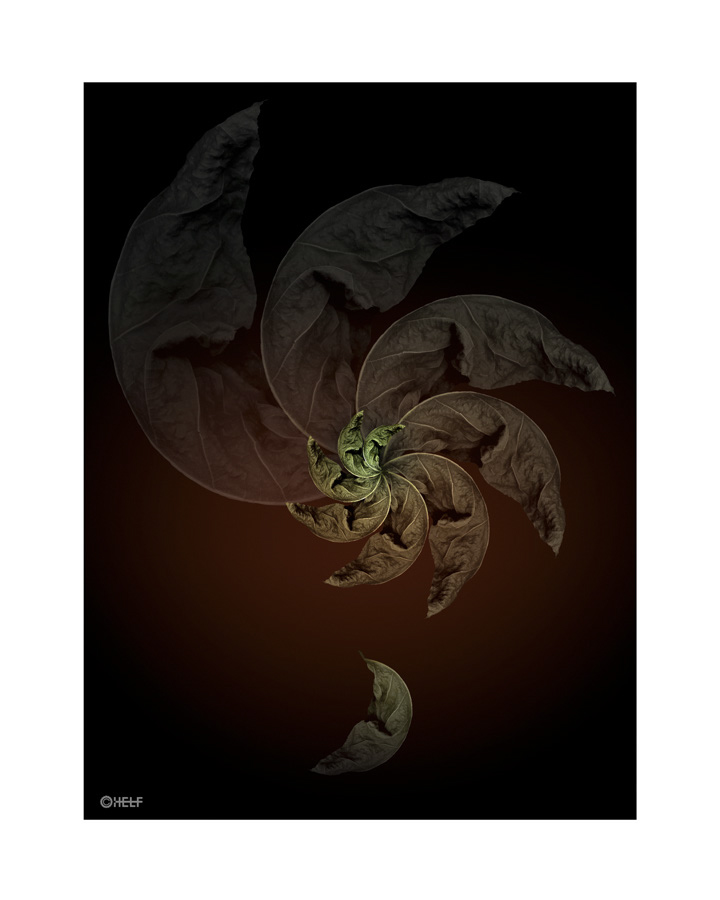 prints_0017