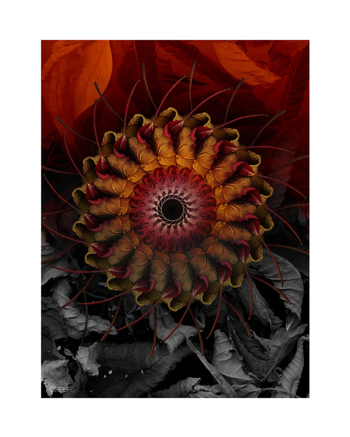 prints_0012