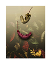 prints_0019