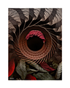 prints_0009