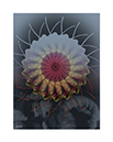prints_0013