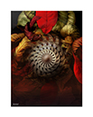 prints_0011