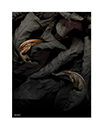 prints_0018