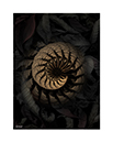 prints_0015