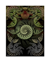 prints_0007