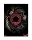 prints_0005