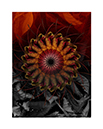 prints_0012